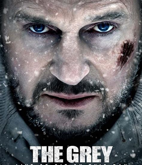 Download Film The Grey Sub Indo